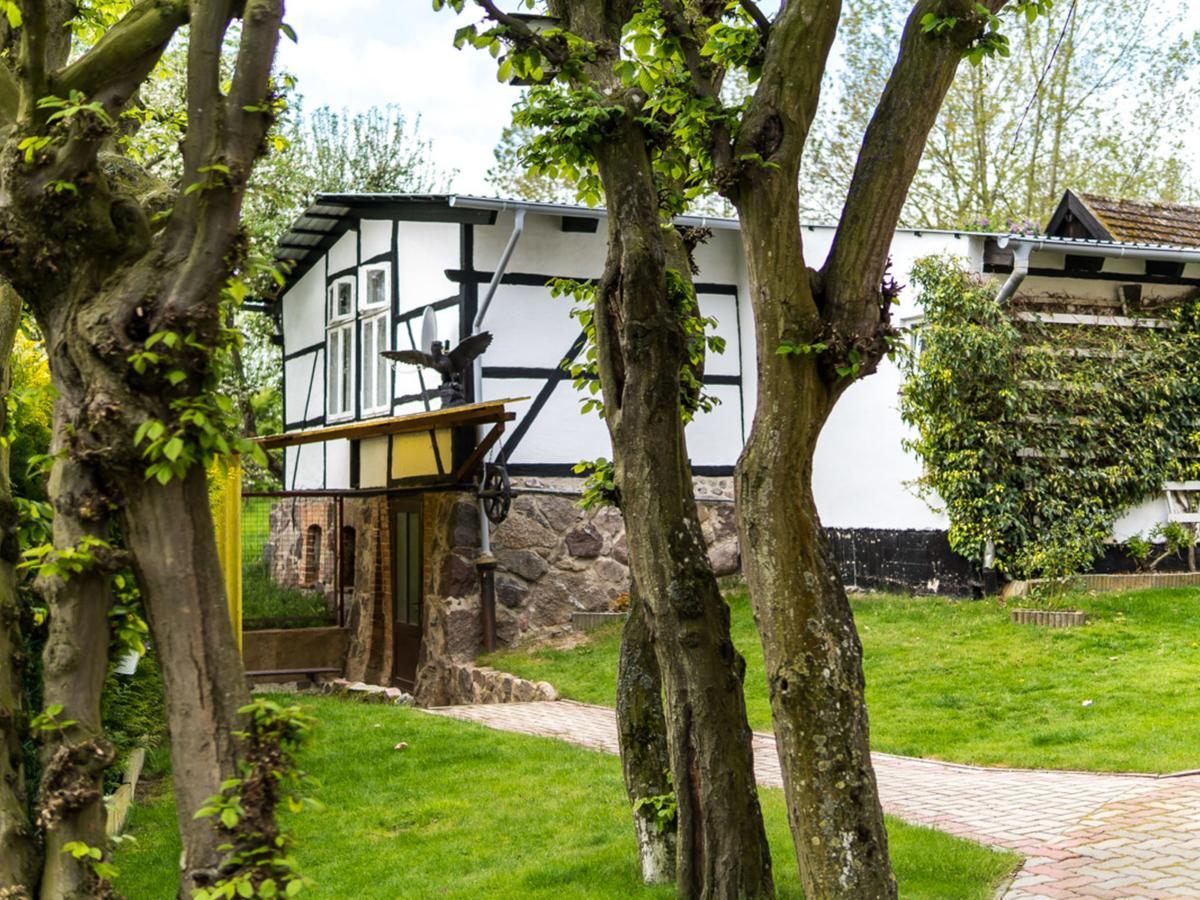 Gartenbungalow 2 Rechte Seite Klein Pravtshagen Esterno foto